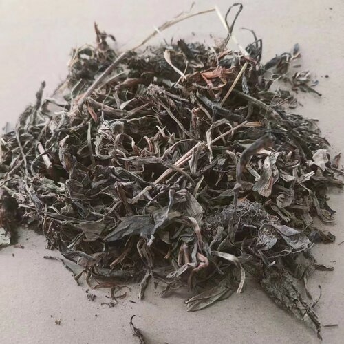 甘松 拍2斤包邮 香草 干松 香松干松 灵草排草 中草药材 500g克 - 图0