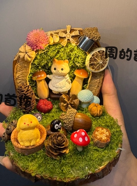 成品果壳立体场景DIY手工小夜灯桌面摆件森系疗愈系送礼物