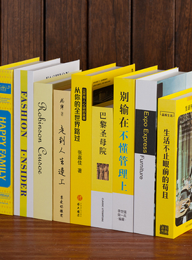 现代简约样板间电视柜装饰书摆件