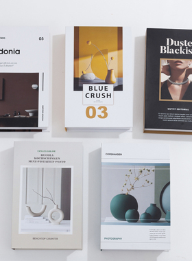 北欧风现代简约电视柜摄影仿真书