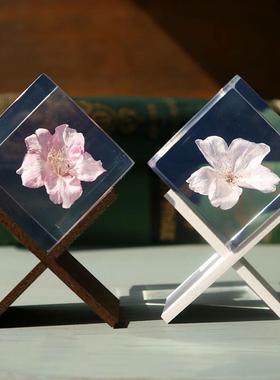 宙sola标本树脂立方体桌面