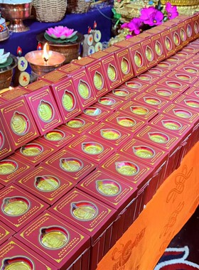 嘎绒虹光成就白玛邓灯尊者诞生二百一十周年纪念