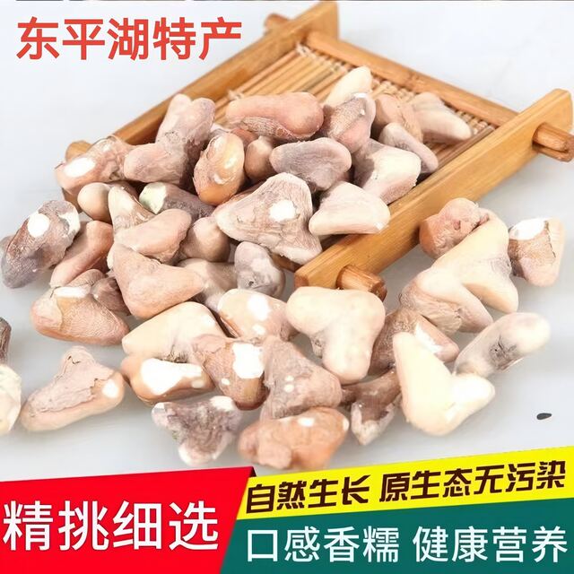 ທະເລສາບດົງປິງ ໃໝ່ ແຫຼ່ງໝາກແກ່ນໝາກຖົ່ວແບບພິເສດ