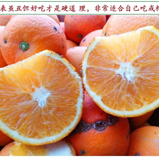 新鲜水果正宗赣南脐橙江西安远信丰寻乌榨汁丑橙子花皮果20斤包邮,淘宝优惠券,粉丝福利购,淘宝优惠卷