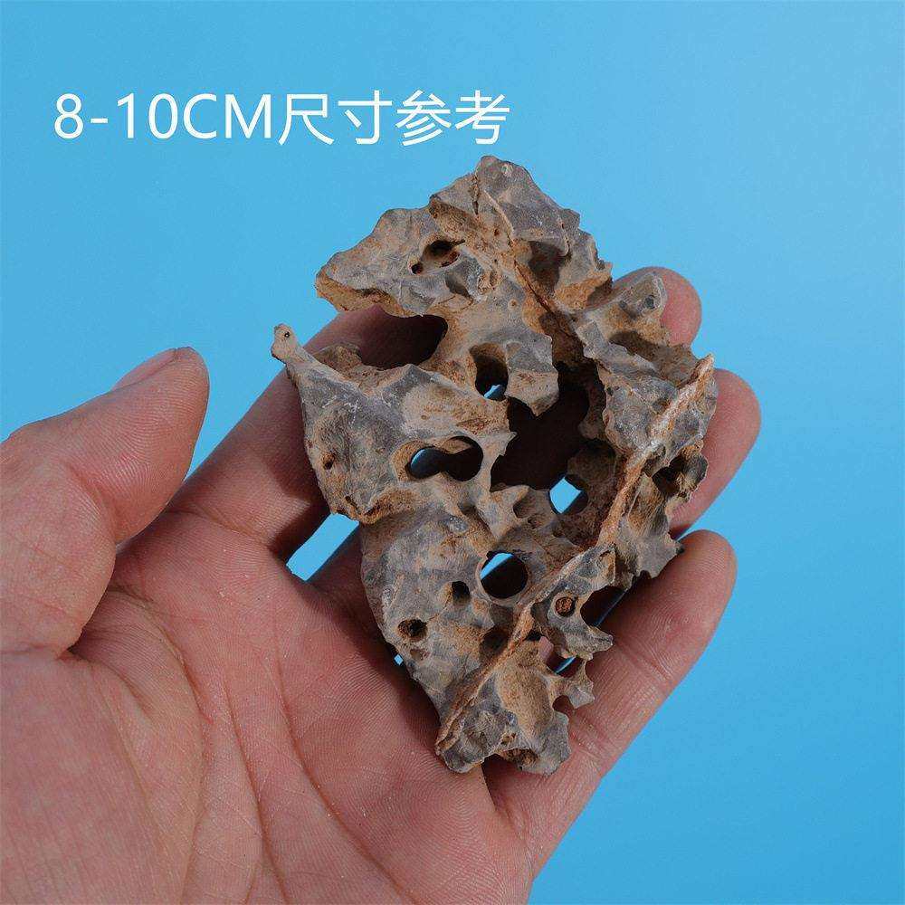 太湖石天然石鱼缸微盆景造景石景观北丹石原矮霸小盆微景OAF小石,淘宝优惠券,粉丝福利购,淘宝优惠卷