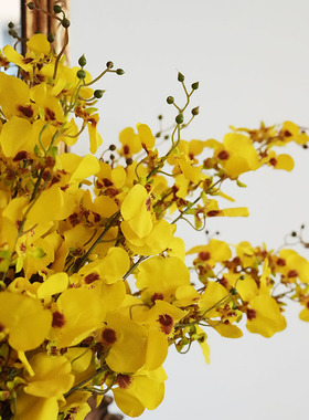 轻奢手感保湿仿真跳舞兰居家装饰手感布仿真花10只装