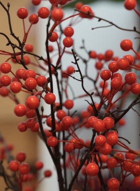 仿真花/出口美国沃尔玛商超北美仿真冬青果实60头 5支一组