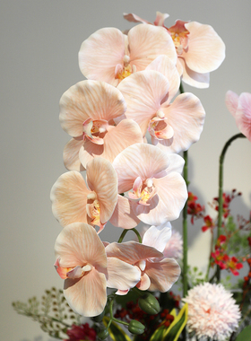 仿真蝴蝶兰套装花假花绢