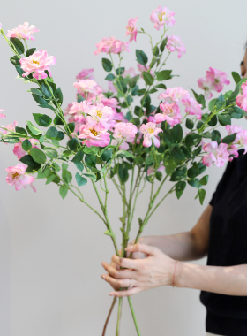 蔷薇仿真花假花干花月季花