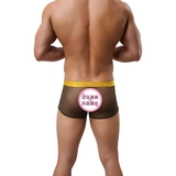 Дышащий спортивный цветной ремень с буквами, трусы, штаны, большой размер