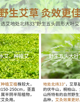 艾条陈年家用正品艾草条