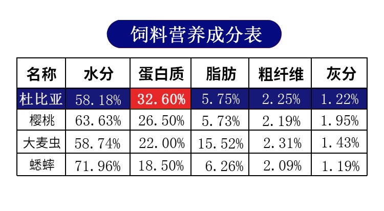 杜比亚蟑螂鬃狮守宫龙鱼鹦鹉蜜袋鼯鸟活虫饲料个体饱满健康高蛋白 - 图1