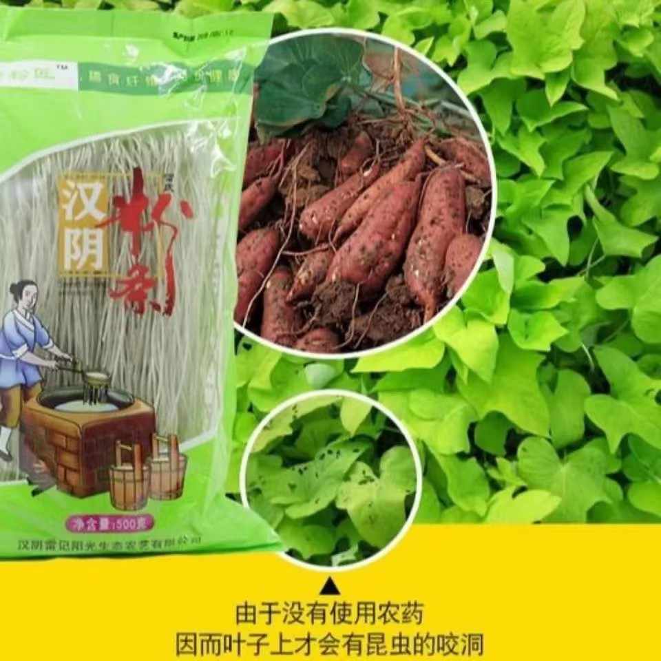 紅薯粉圓粉條 新人首單立減十元 22年10月 淘寶海外