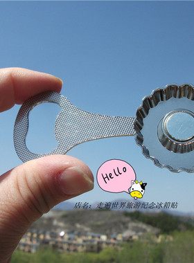 世界冰箱贴当地购买精致