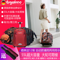 Germanys Ergfree Tie Bag High School High Capacity Junior High School Students Big Wheels Reptile Men And Women With Luggage