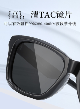 普莱斯复古偏光太阳镜