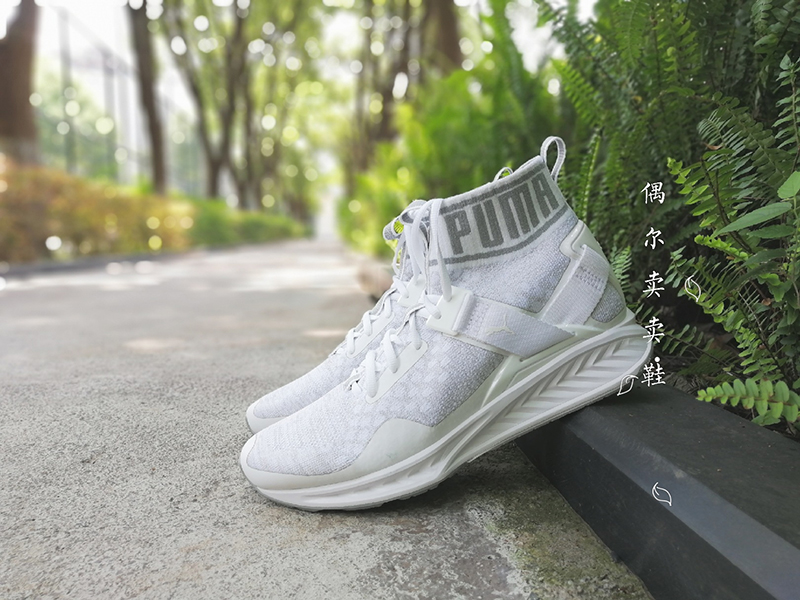 PUMA Ignite Evoknit高帮袜套男鞋女鞋 潮流编织面料休闲鞋189697 - 图1