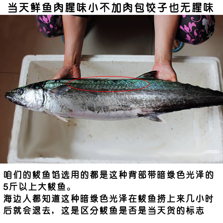 长岛纯鲅鱼饺子馅马鲛鱼丸汆丸子涮火锅不含其它肉两斤包邮-图0