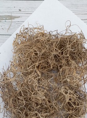 干草进口植物diy装饰干花道具
