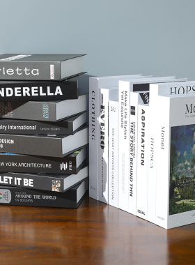 假书仿真书装饰品现代简约样板房