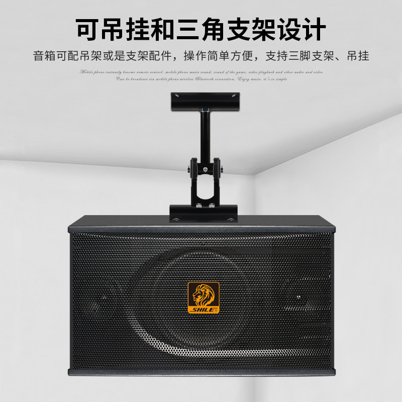 狮乐k555c / bx118会议室套装酒店 狮乐KTV/卡拉OK音箱