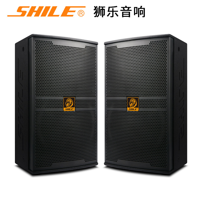 狮乐bm-10十寸专业舞台演出音箱 狮乐KTV/卡拉OK音箱