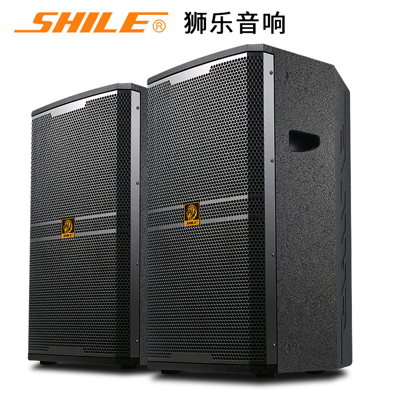 狮乐bm-15十五寸专业舞台演出音箱 狮乐KTV/卡拉OK音箱