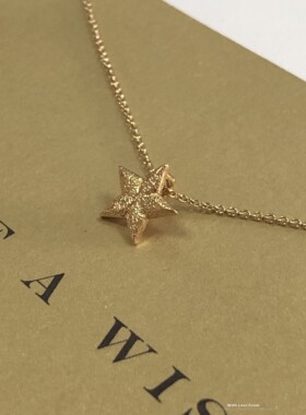 海星锁骨链 银镀金许愿项链 美国 Dogeared正品