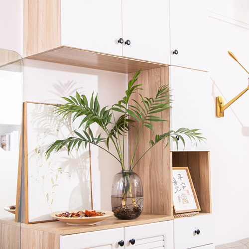 水培袖珍椰子散尾葵绿植盆栽室内客厅大型绿植花卉净化空气除甲醛 - 图0