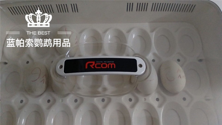 韩国孵蛋器RCOM 20 pro鹦鹉孵化器滚轴 大中小三号蛋盘等配件包邮 - 图2