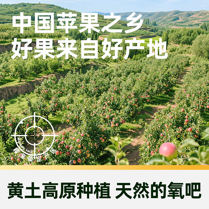 顺丰上门下拉详情领优惠陕西正宗洛川红富士苹果洛川富士苹果