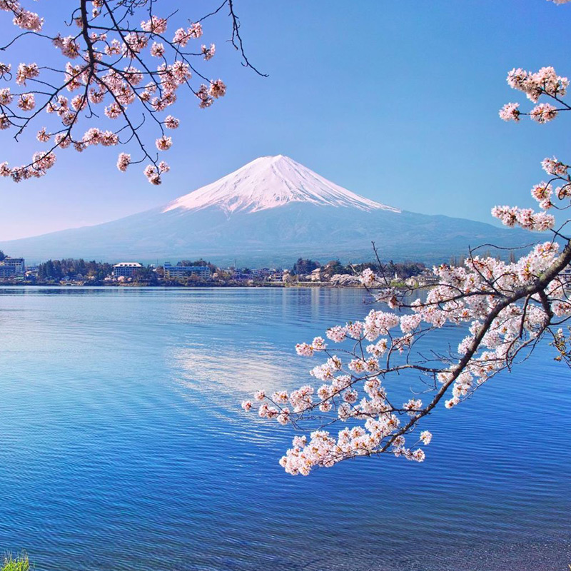 【含签证纯玩小团】日本旅游东京大阪富士山京都奈良5天4晚半自游 - 图3