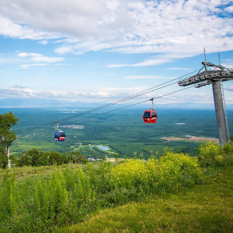 滑雪1-3晚长白山万达智选假日悦华momoland旅游温泉,淘宝优惠券,粉丝福利购,淘宝优惠卷