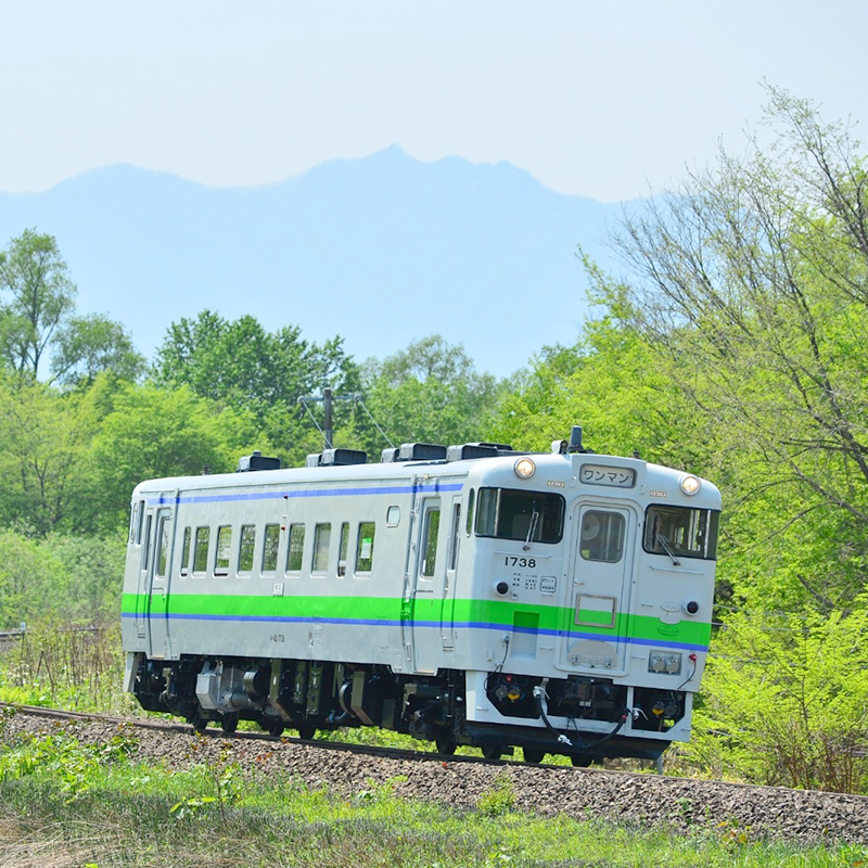 日本北海道jrpass火车套票5/7/10天铁路周游券札幌登别富良野4日-图0