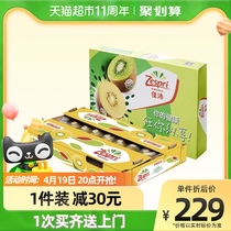 Zespri Jipei New Zealand Golden Chili Exotic Fruits 16-18 Original Boxes Giant No Bully Single Fruit 175-232g