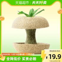 carno carno hamster rat grain golden silk bear nutrition small snacks grinding tooth stick toy building supplies