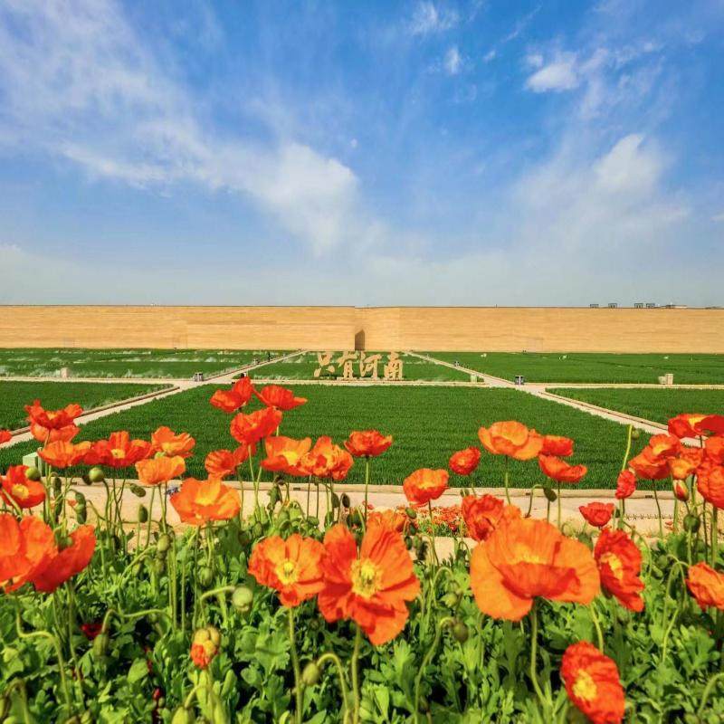 【酒店配套】只有河南戏剧幻城多次入园只有剧场酒店住宿1晚含早餐含摆渡车,淘宝优惠券,粉丝福利购,淘宝优惠卷