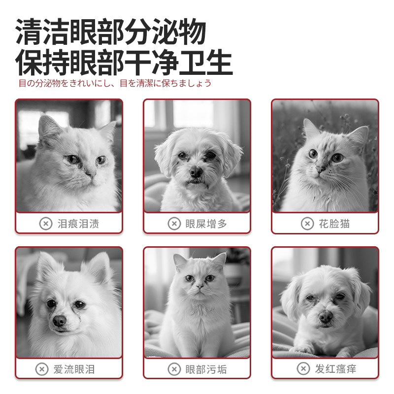 KOJIMA咖家宠物湿巾狗狗擦眼睛去除眼部眼屎清洁用品猫咪泪痕湿巾,淘宝优惠券,粉丝福利购,淘宝优惠卷