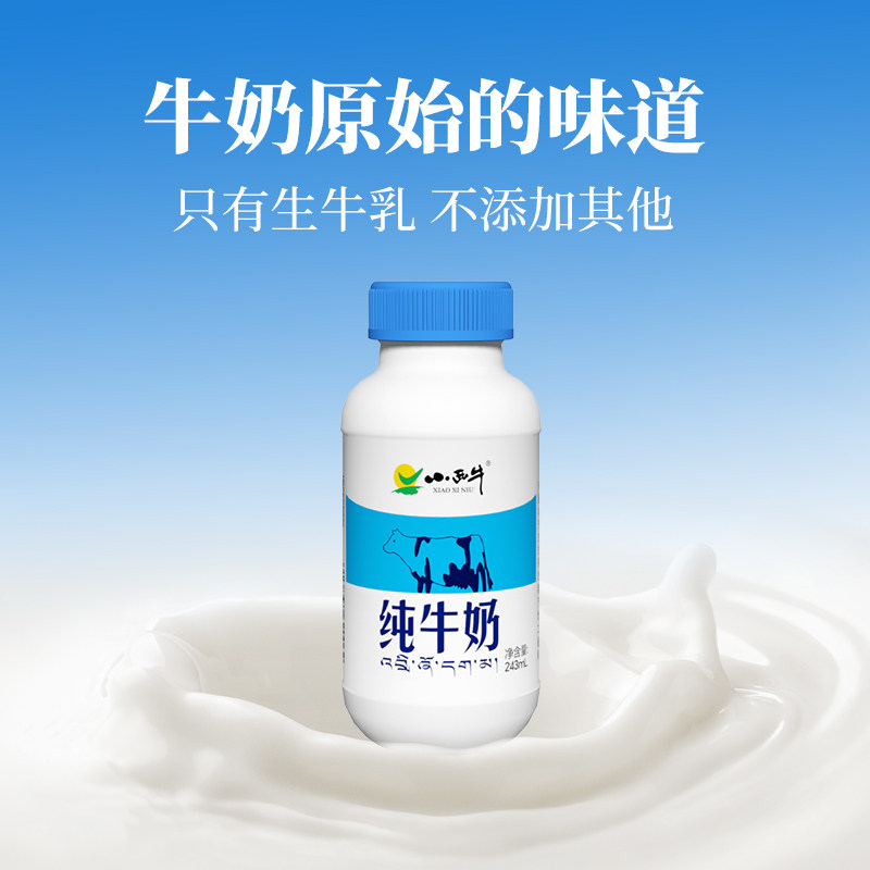 小西牛纯牛奶全脂学生儿童营养早餐牛奶整箱243ml*12瓶
