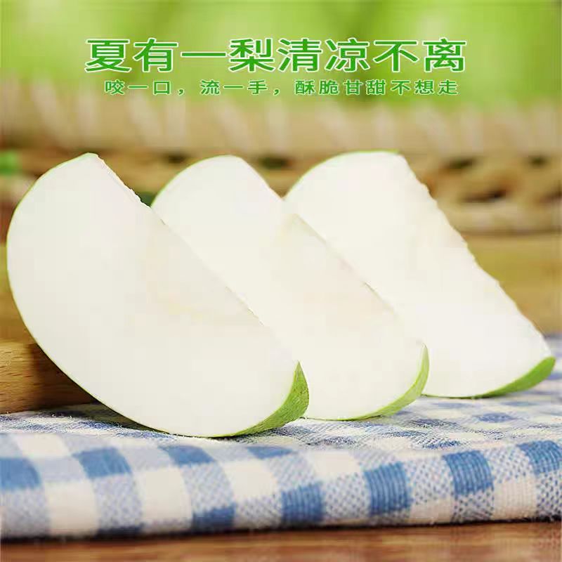 2025头茬早酥梨脆甜多汁薄皮梨子应季头茬大果冰糖雪梨酥脆化渣