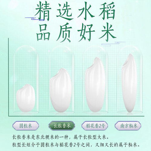 下拉享特价 金龙鱼臻选长粒香东北大米香糯清甜 柔软弹牙 - 图3