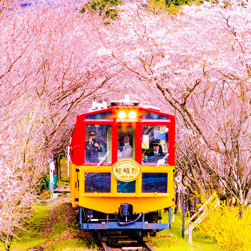 日本·三年多次旅游签证·青岛送签·山东日本三年多次签证青岛个人旅游自由行签证冲绳签证-图3