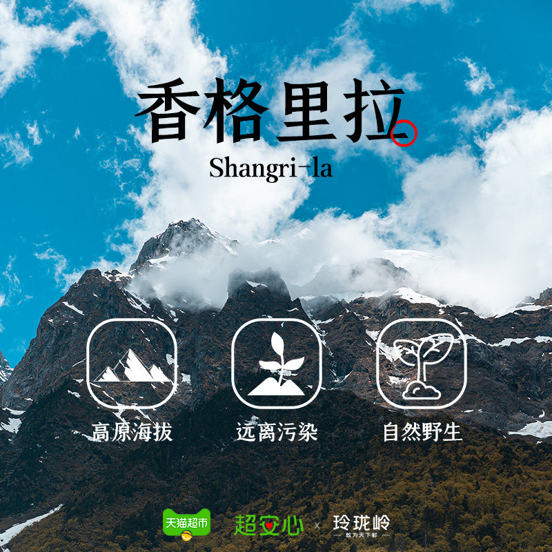 玲珑岭野生冻干松茸香格里拉松茸菌5-7cm云南特产菌菇松茸片,淘宝优惠券,粉丝福利购,淘宝优惠卷