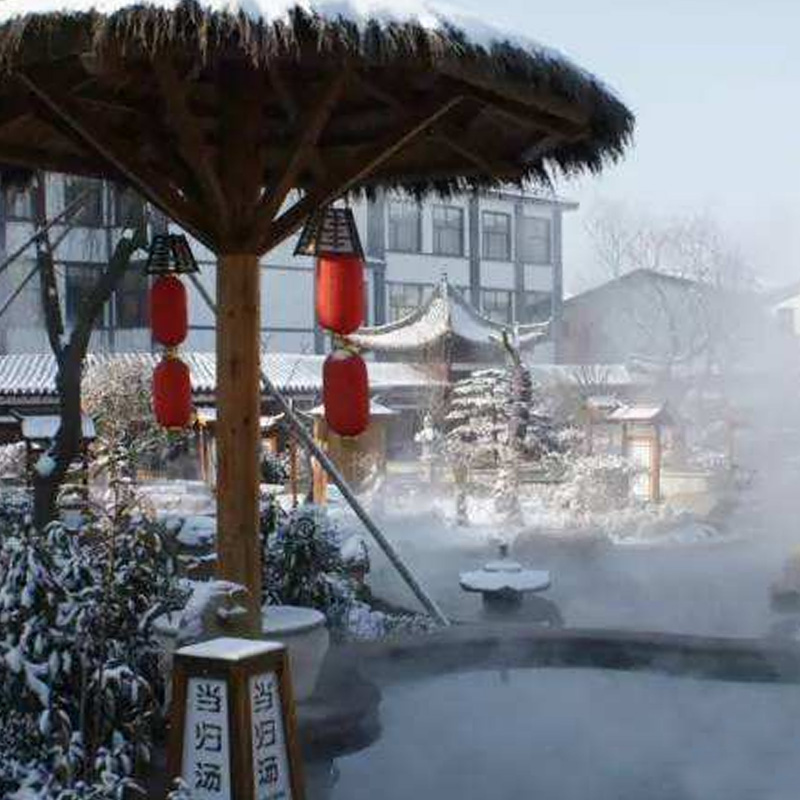 [智圣汤泉旅游度假村-温泉票+自助餐]临沂智圣汤泉温泉票+自助餐电子 - 图2