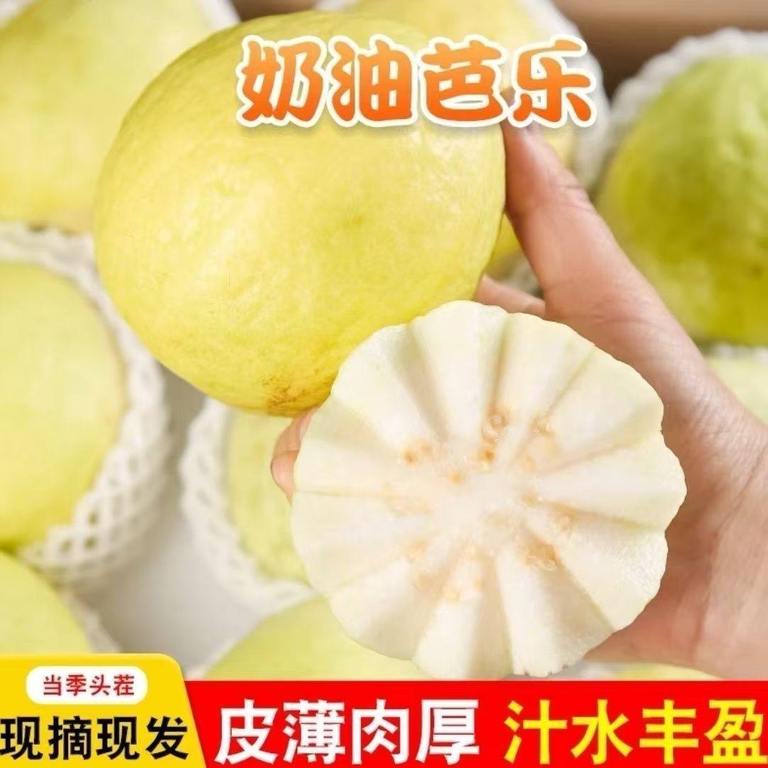 包邮软心奶油白心芭乐软番石榴新鲜冰淇淋低糖孕妇网红水果,淘宝优惠券,粉丝福利购,淘宝优惠卷