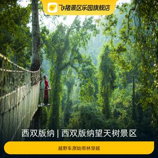 [西双版纳望天树景区-越野车原始雨林穿越]