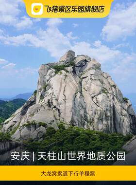 [天柱山世界地质公园-大龙窝索道下行单程票]