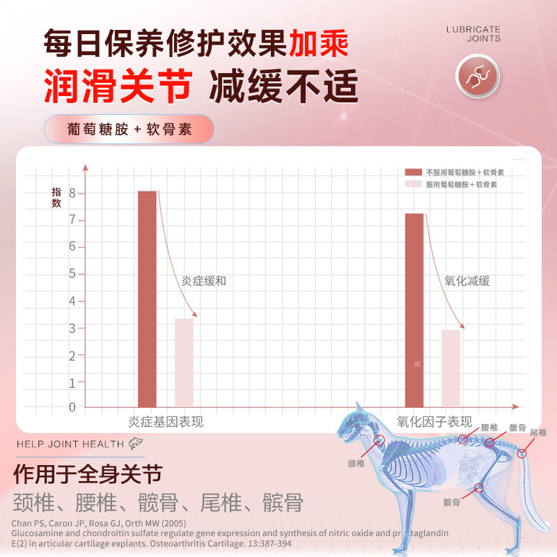 麦德氏关节安猫专用绿贻贝软骨素折耳猫幼猫老年猫全适用关节修护