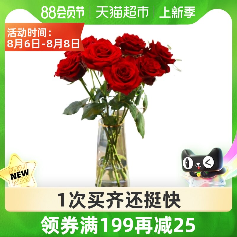 红色玫瑰花束 新人首单立减十元 21年8月 淘宝海外
