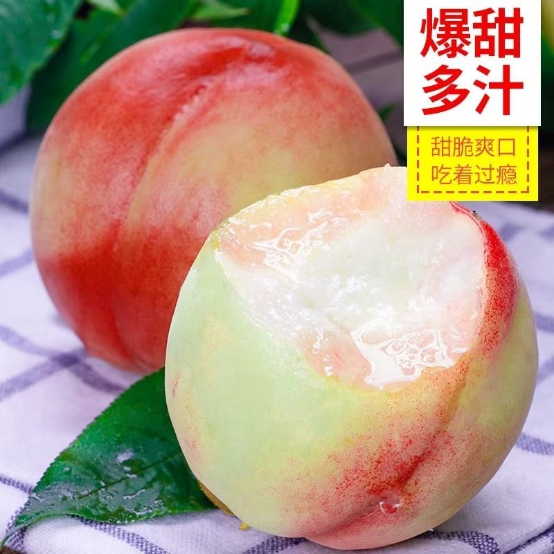 山西脆蜜桃头茬毛桃当季新鲜水果